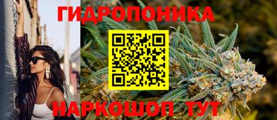 метадон Заводоуковск